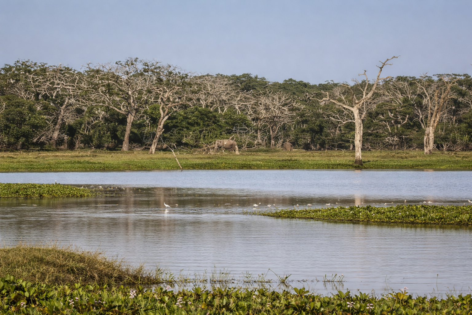 Yala National Park