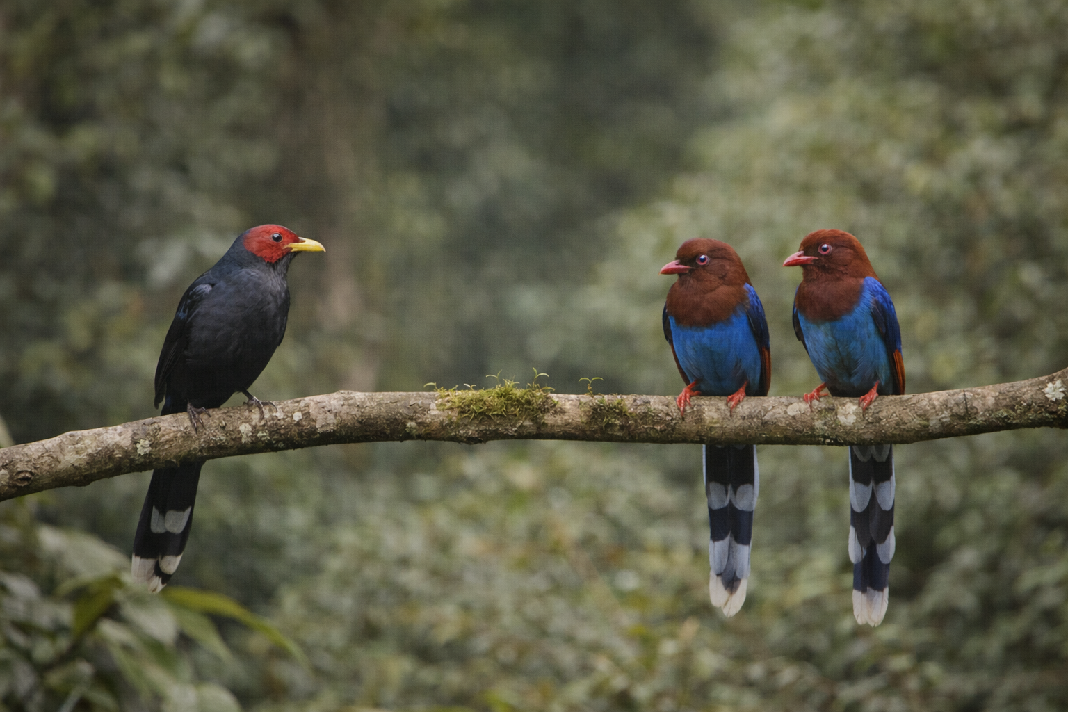Wilpattu National Park